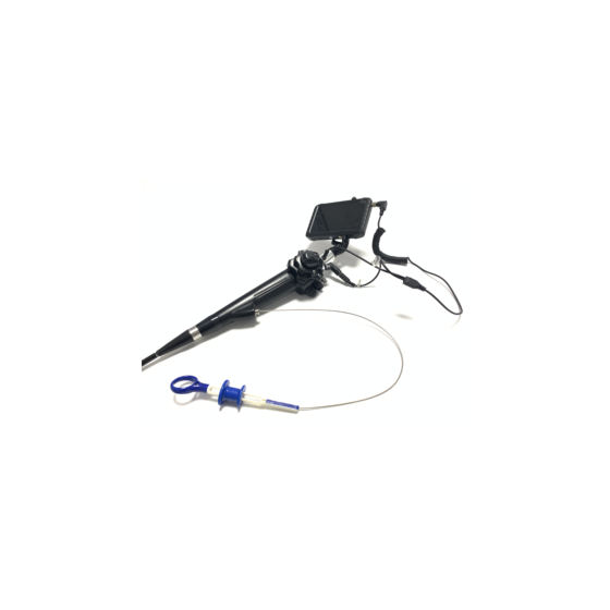 DMNK05 Medical Multifunctional Veterinary Pet Gastroscope Portable Video Colonoscope Machine With Bronchoscope