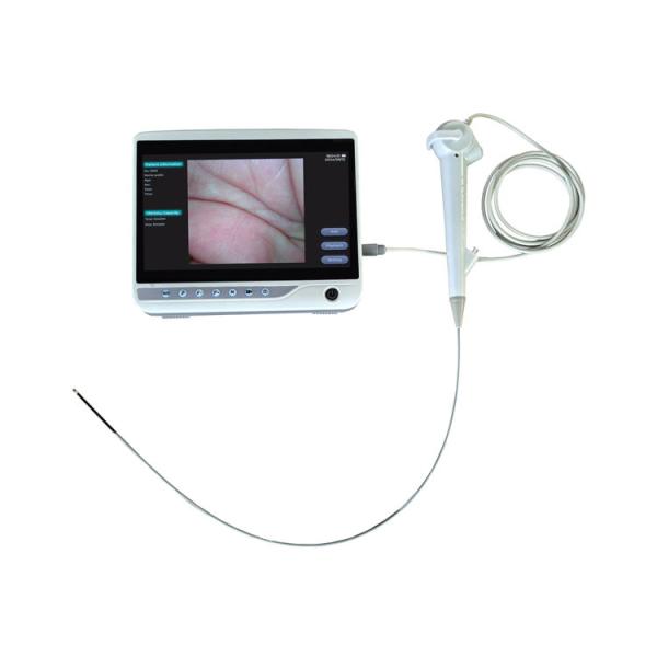 Newly developed products Single Use Veterinary Gastroscope Portable Bronchoscope Endoscope