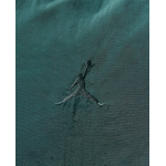 Jordan Renegade Essentials