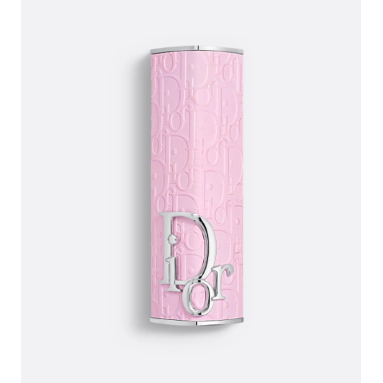 Dior Addict Lipstick Fashion Case