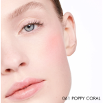 Dior Rose Blusher