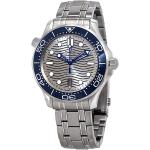 Omega Seamaster Automatic Grey Dial Men's Watch 210.30.42.20.06.001