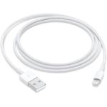 Apple Lightning to USB Cable (1 m)