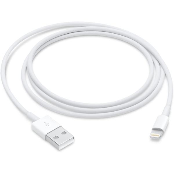 Apple Lightning to USB Cable (1 m)