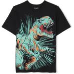 The Children's Place Boys' Short Sleeve Graphic T-Shirt