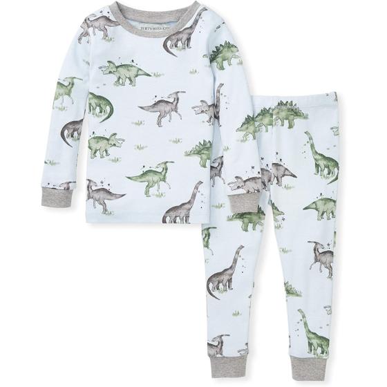 Burt's Bees Baby Baby Boys' Pajamas, Tee and Pant 2-Piece Pj Set, 100% Organic Cotton