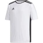 adidas Boy's Entrada 18 Jersey