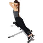 Sunny Health & Fitness SF-BH6629 45 Degree Hyperextension Roman Chair Grey