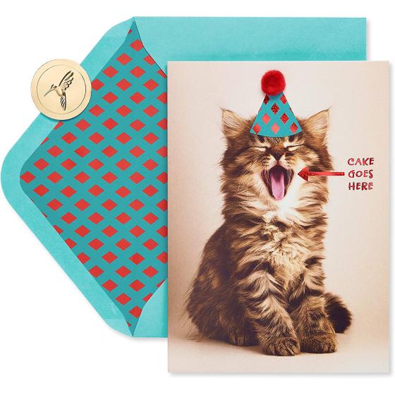 Papyrus Funny Cat Birthday Card (Indulge)