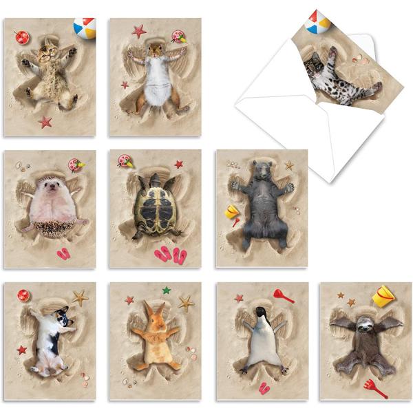 The Best Card Company - 10 Adorable Note Cards Blank (4 x 5.12 Inch) - Wildlife and Animal Cards, Assorted Boxed Kids Set - Sand Angels AM6844OCB-B1x10