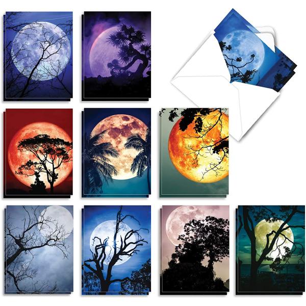 The Best Card Company - 20 Landscape Nature Note Cards Blank (4 x 5.12 Inch) (10 Designs, 2 Each) - Moonshine AM7169OCB-B2x10