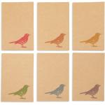 36 Pack Bird Note Cards with Envelopes, Blank All Occasion Thank You Cards, Rustic-Style (Kraft Paper, 4 x 6 In)