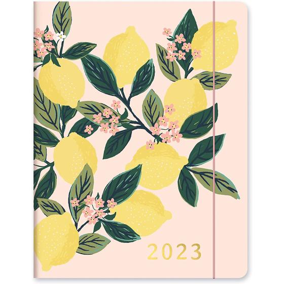 Orange Circle Studio Just Right 2022-2023 Monthly Planner - 17-Month Organizer with Full-Color Monthly Views, Storage Pocket & Elastic Closure - Lemon Tree