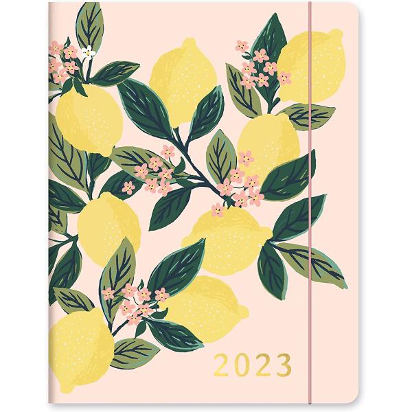Orange Circle Studio Just Right 2022-2023 Monthly Planner - 17-Month Organizer with Full-Color Monthly Views, Storage Pocket & Elastic Closure - Lemon Tree