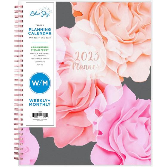 Blue Sky 2023 Weekly and Monthly Planner, January - December, 8.5" x 11", Frosted Cover, Wirebound, Joselyn (142079)