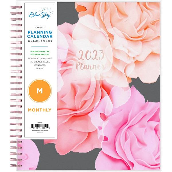 Blue Sky 2023 Monthly Planner, January - December, 8" x 10", Frosted Cover, Wirebound, Joselyn (142080)