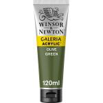 Winsor & Newton 120ml Galeria Acrylic Paint - Olive Green