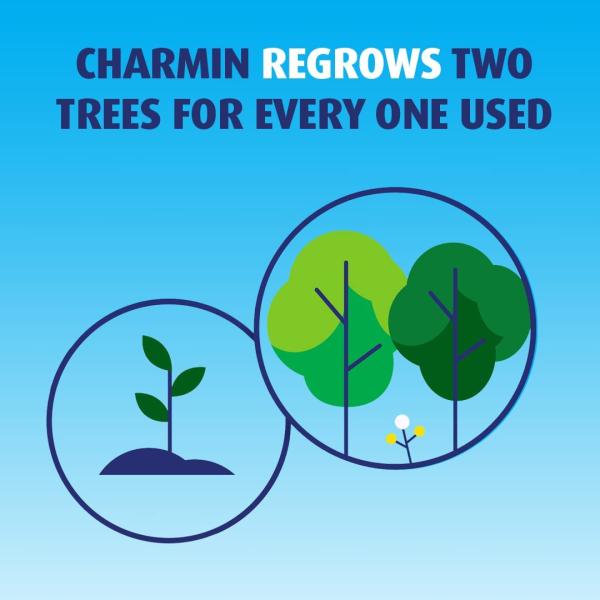 Charmin Ultra Gentle Toilet Paper， 18 Mega Rolls = 72 Regular Rolls