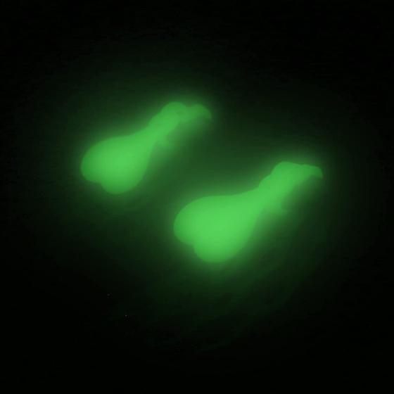 1 Pair Glow in the Dark Croc Balls， Shoe Croc Accessories，Clips Croc Balls，Croc Nuts For Shoes，Shoe Decoration Charms Balls for your Crocs，Ideal Decorative Shoe Buckle Gift for Friend Gifts