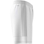 adidas Men's Tastigo 19 Shorts
