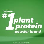 Orgain Organic Kids Vegan Protein Nutritional Shakes, Chocolate - 8g of Protein, Contains Fiber and 23 Vitamins and Minerals, Plant Based, No Gluten or Soy, Non-GMO, 8 Fl Oz (Pack of 12)