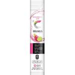 CELSIUS On-the-Go Powder Stick, Combo Pack of Dragonfruit Lime and Cranberry Lemon, 28 Piece Assortment