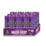 Sambazon Organic Amazon Energy Drink, Original Acai Berry, 12 Ounce (Pack of 12)