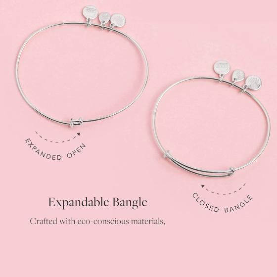 Alex and Ani Birthstones Expandable Bangle for Women, Crystal Charm for Every Month, Shiny Finish, 2 to 3.5 in