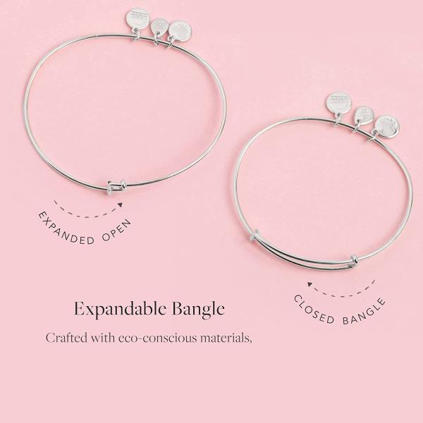 Alex and Ani Birthstones Expandable Bangle for Women, Crystal Charm for Every Month, Shiny Finish, 2 to 3.5 in