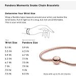 PANDORA Jewelry Smooth Moments Snake Chain Charm Bracelet