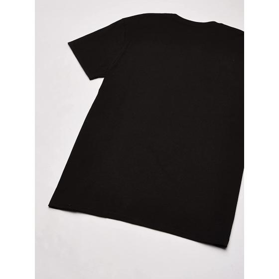 Hanes Men’s Short Sleeve Graphic T-shirt Collection