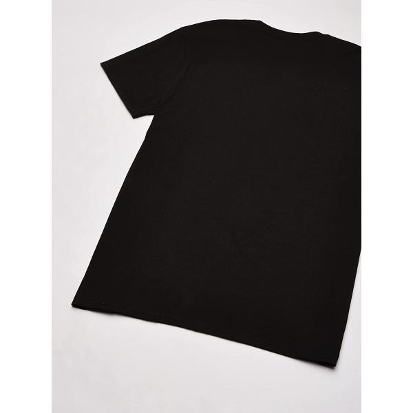 Hanes Men’s Short Sleeve Graphic T-shirt Collection