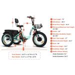 Addmotor Motan Electric Tricycle for Adults, 85 MI Long Range, M330 20" Fat Tire Electric Trikes, 750W 48V 20Ah Samsung Removable Battery, Big Baskets, 3 Wheel Electric Bikes for Seniors