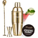 Cocktail Shaker, KITESSENSU 24oz Drink Shaker with Bartender Strainer, Measuring Jigger, Bar Mixing Spoon, Cocktail Recipe Guide, Professional Drink Mixer Set for Beginners, Silver